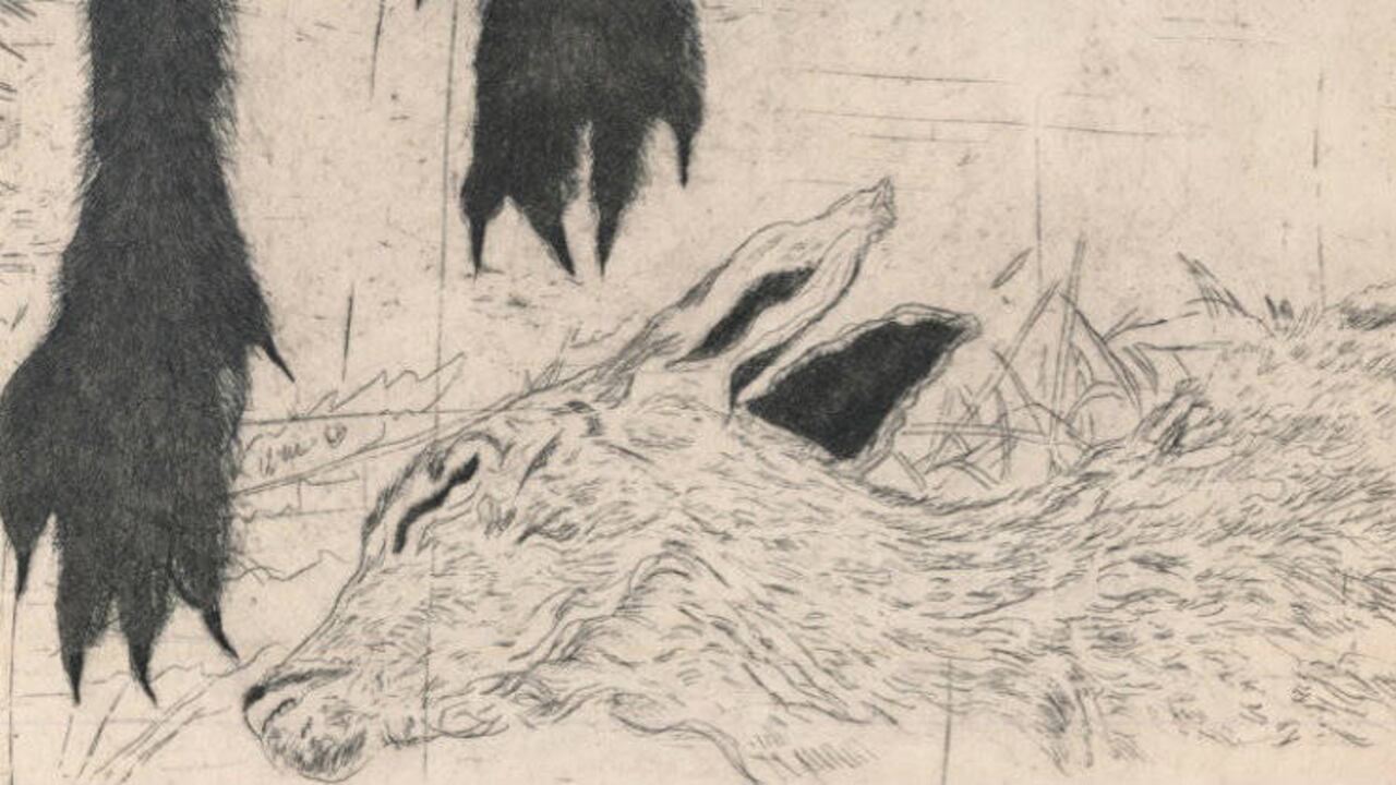 Ilustración de 'Cráter' de Tania Ganitsky y José Sarmiento.