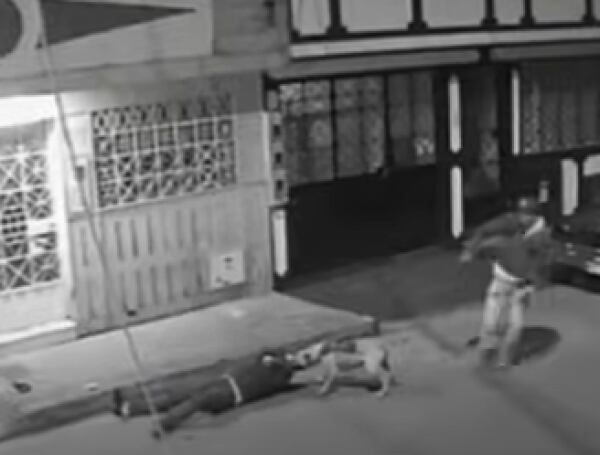 Un delincuente utilizó a su perro pitbull, aparentemente adiestrado, como arma para atacar y robar a un joven.