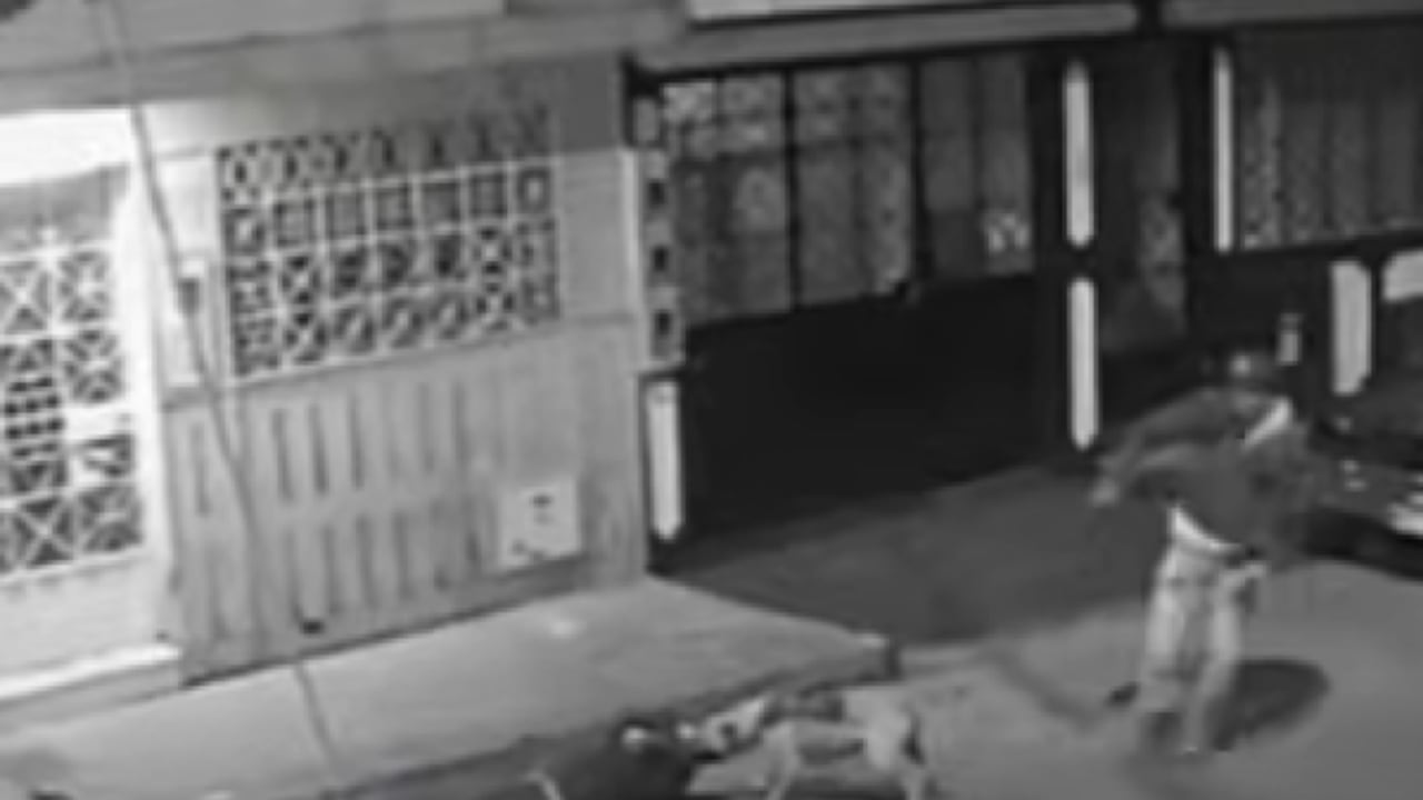 Un delincuente utilizó a su perro pitbull, aparentemente adiestrado, como arma para atacar y robar a un joven.