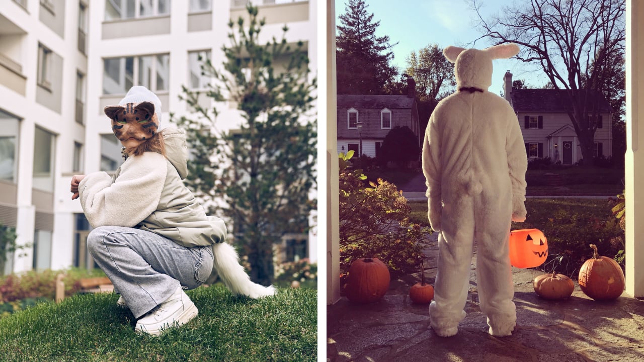 La identidad therian es interna, mientras los furros prefieren la creatividad visible.