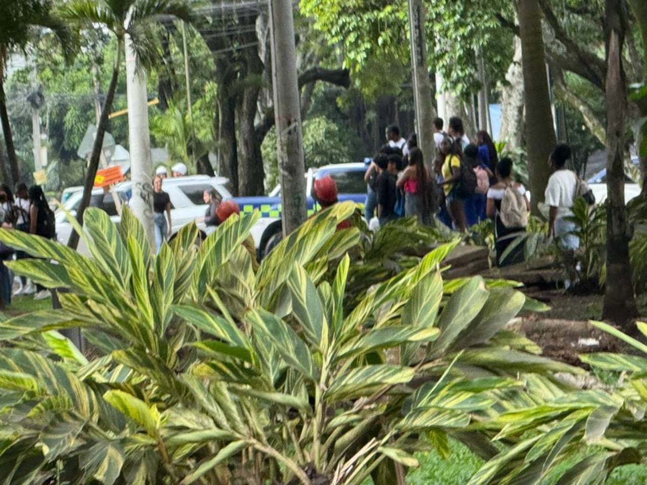 Las autoridades acordonaron la zona del doble homicidio, en Santa Mónica, norte de Cali, para inspeccionar los cadáveres.