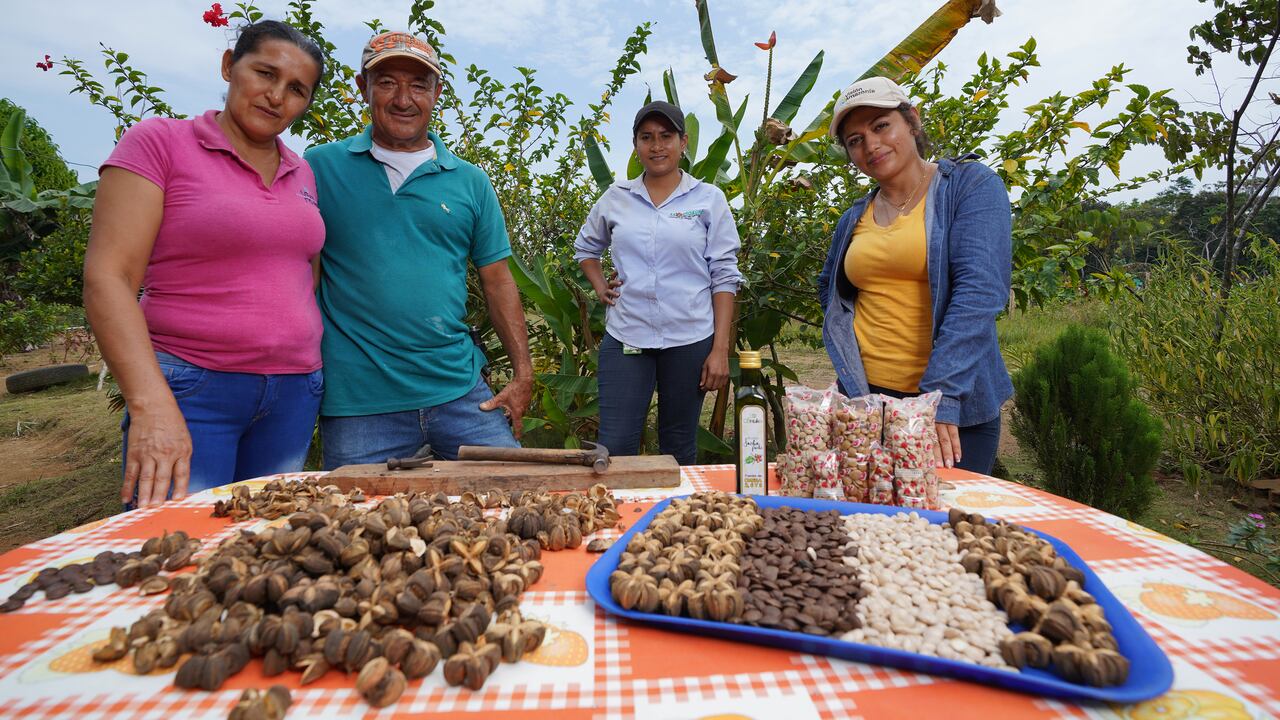 GNU es un grupo de países que coordinan esfuerzos para reducir la deforestación en la Amazonía.