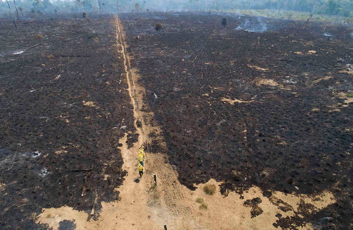 Trabajadores de la agencia estatal de medio ambiente de Brasil, IBAMA, revisan un área consumida por el fuego cerca de Novo Progresso, estado de Pará, Brasil, el martes 18 de agosto de 2020. Los expertos dicen que los incendios están empujando la selva tropical más grande del mundo hacia un punto de inflexión, después del cual dejará de generar suficiente lluvia para sostenerse. Foto: Andre Penner / AP 