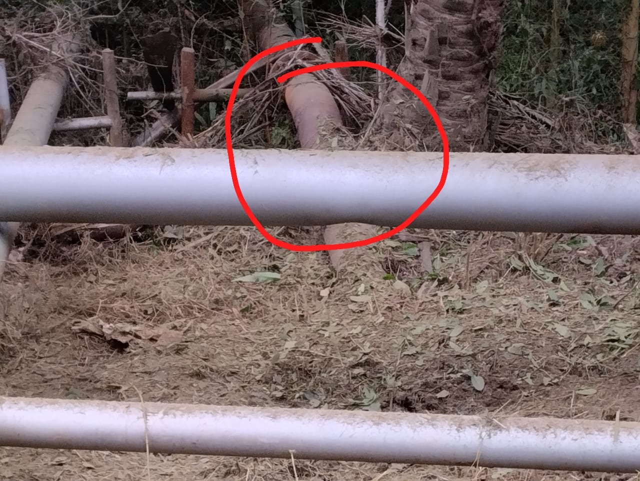 Resultó afectada la troncal de inyección de 12 pulgadas de la Planta de Inyección de Agua.