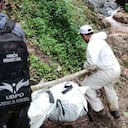 Recuperan cinco cuerpos en el Parque Nacional Natural Gloria Valencia de Castaño en el Tolima.