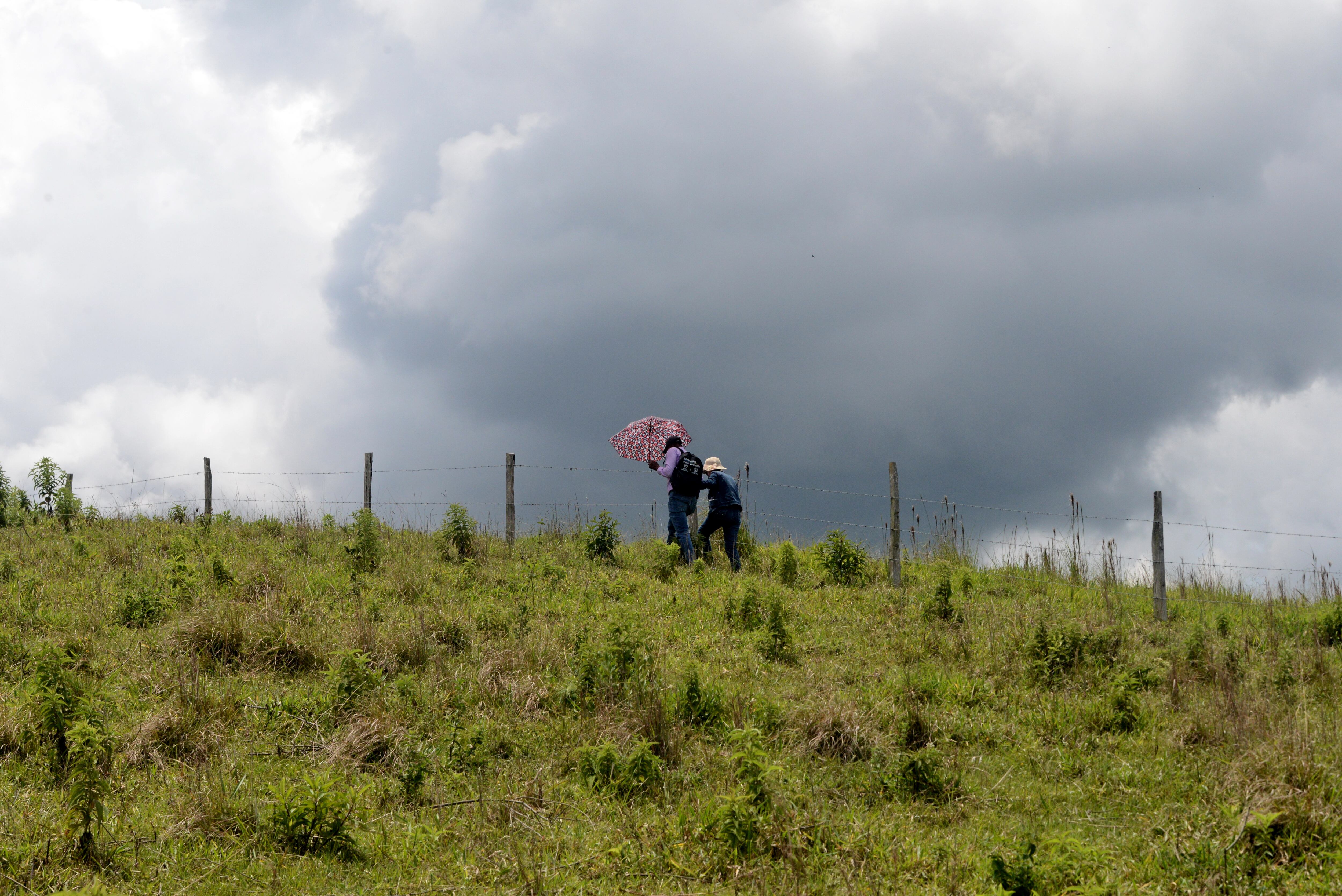 Orden: Restitución de tierras en el Darién a dos familias vallecaucanas. foto José L Guzmán. El País