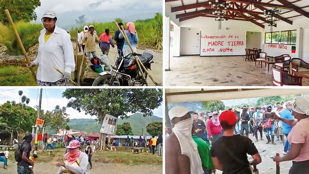 El modus operandi de los invasores varía según la región. En algunos casos operan en pequeños grupos, y en otros llegan en grandes concentraciones.