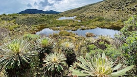 El reto más grande del río nace porque el 97 por ciento de sus aguas se encuentran contaminadas. Únicamente hay 11 kilómetros de aguas cristalinas cerca del Páramo de Guacheneque, en el municipio de Villapinzón, Cundinamarca.