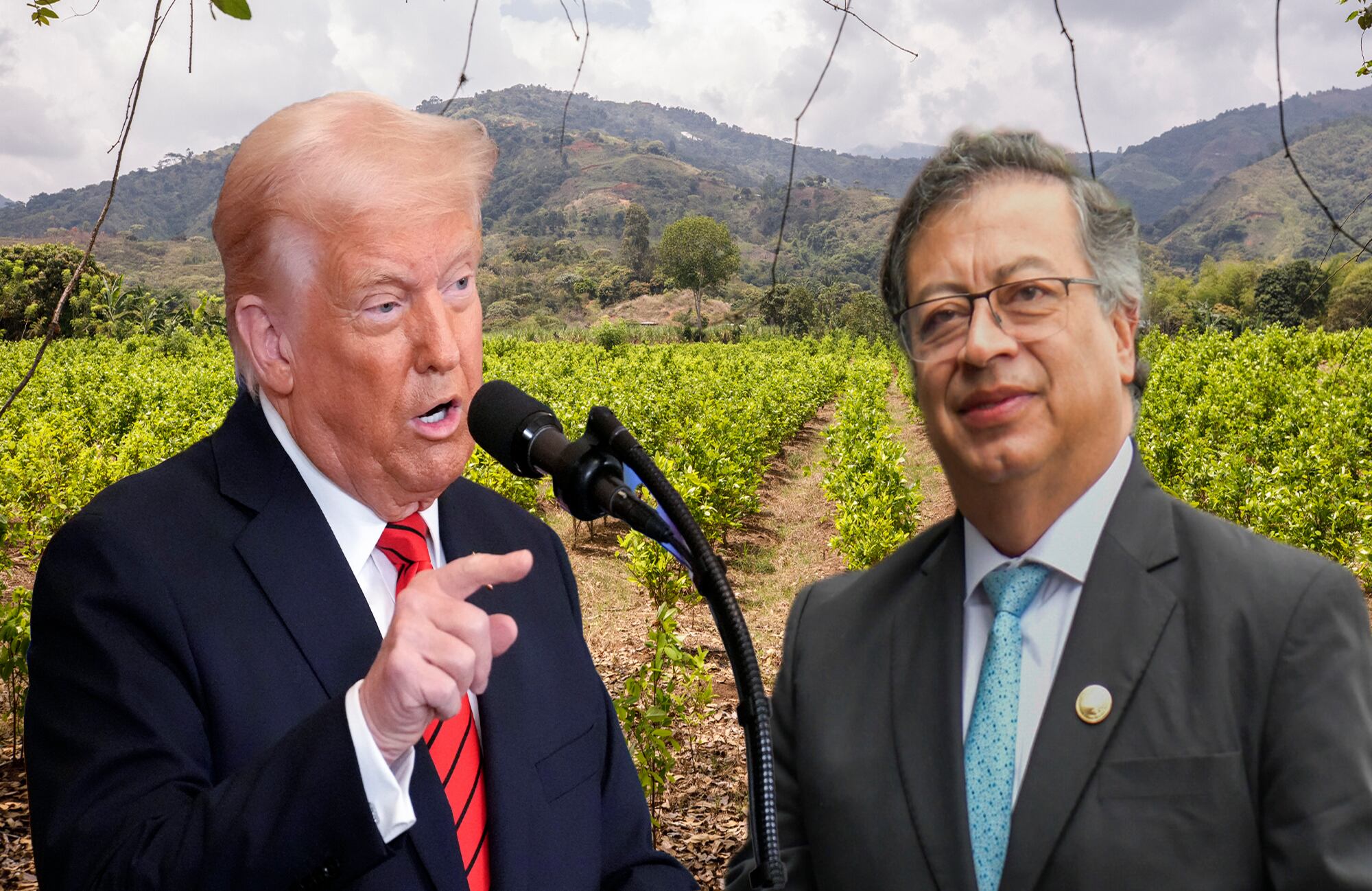 Donald Trumpo Gustavo Petro Cultivo coca