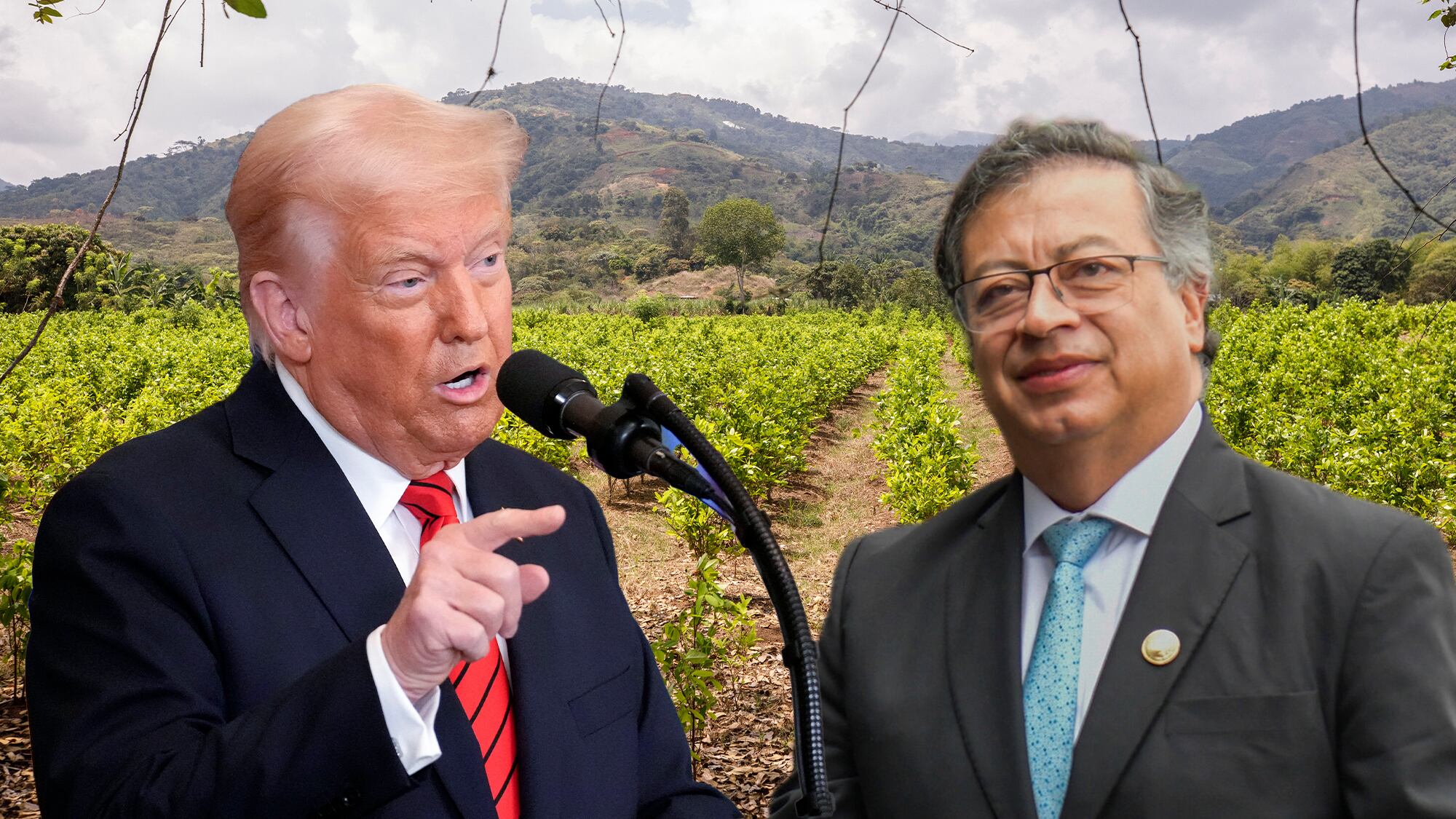 Donald Trumpo Gustavo Petro Cultivo coca