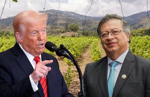 Donald Trumpo Gustavo Petro Cultivo coca