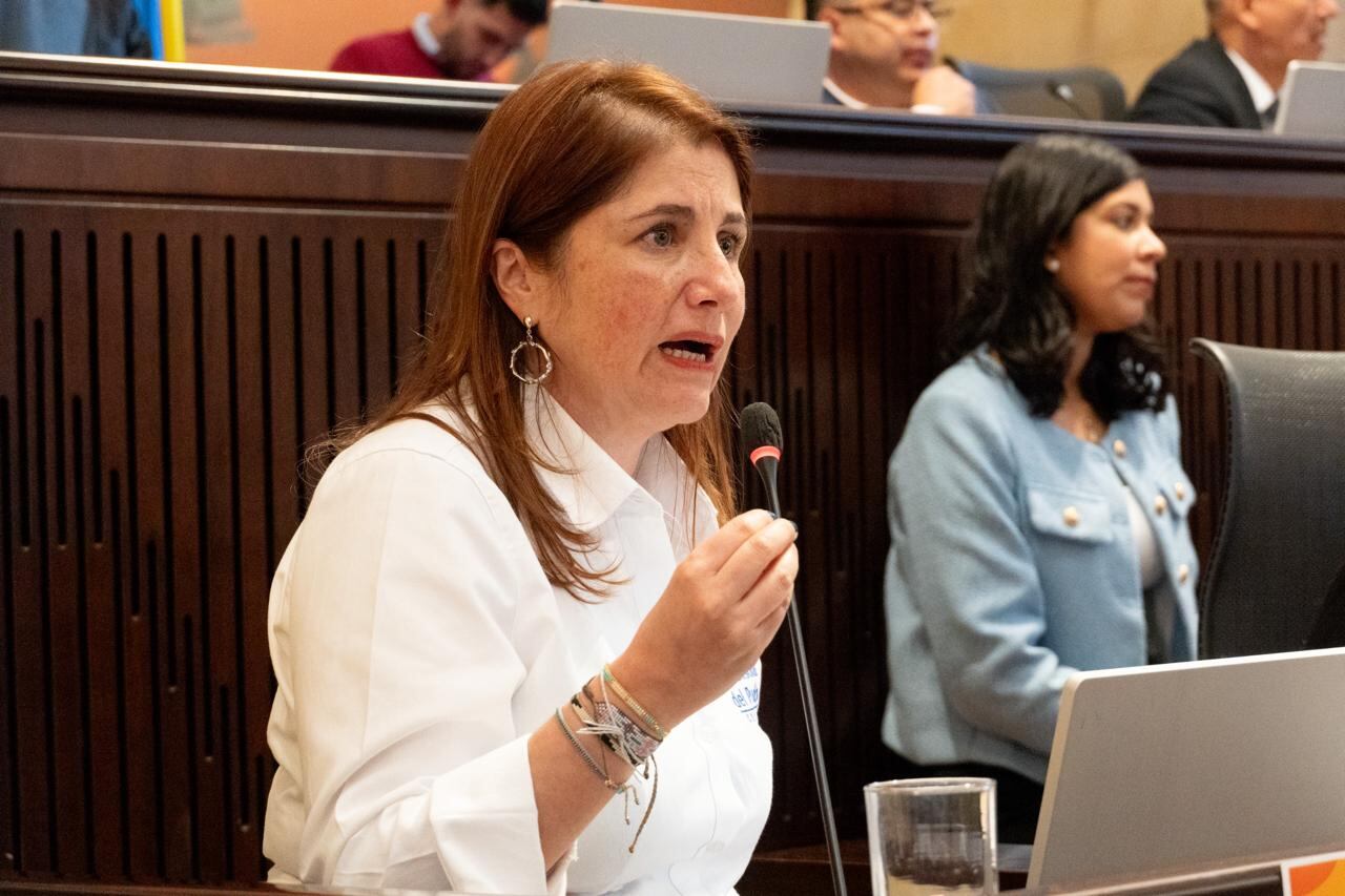 Defensora del pueblo, Iris Marín.