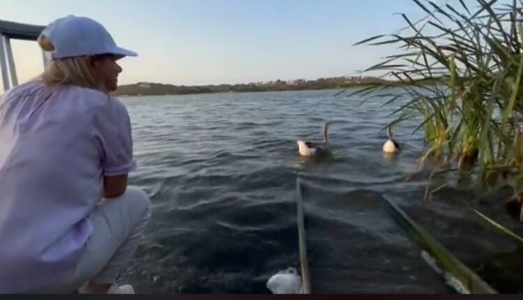 Lago de los Cisnes, en Puerto Colombia.