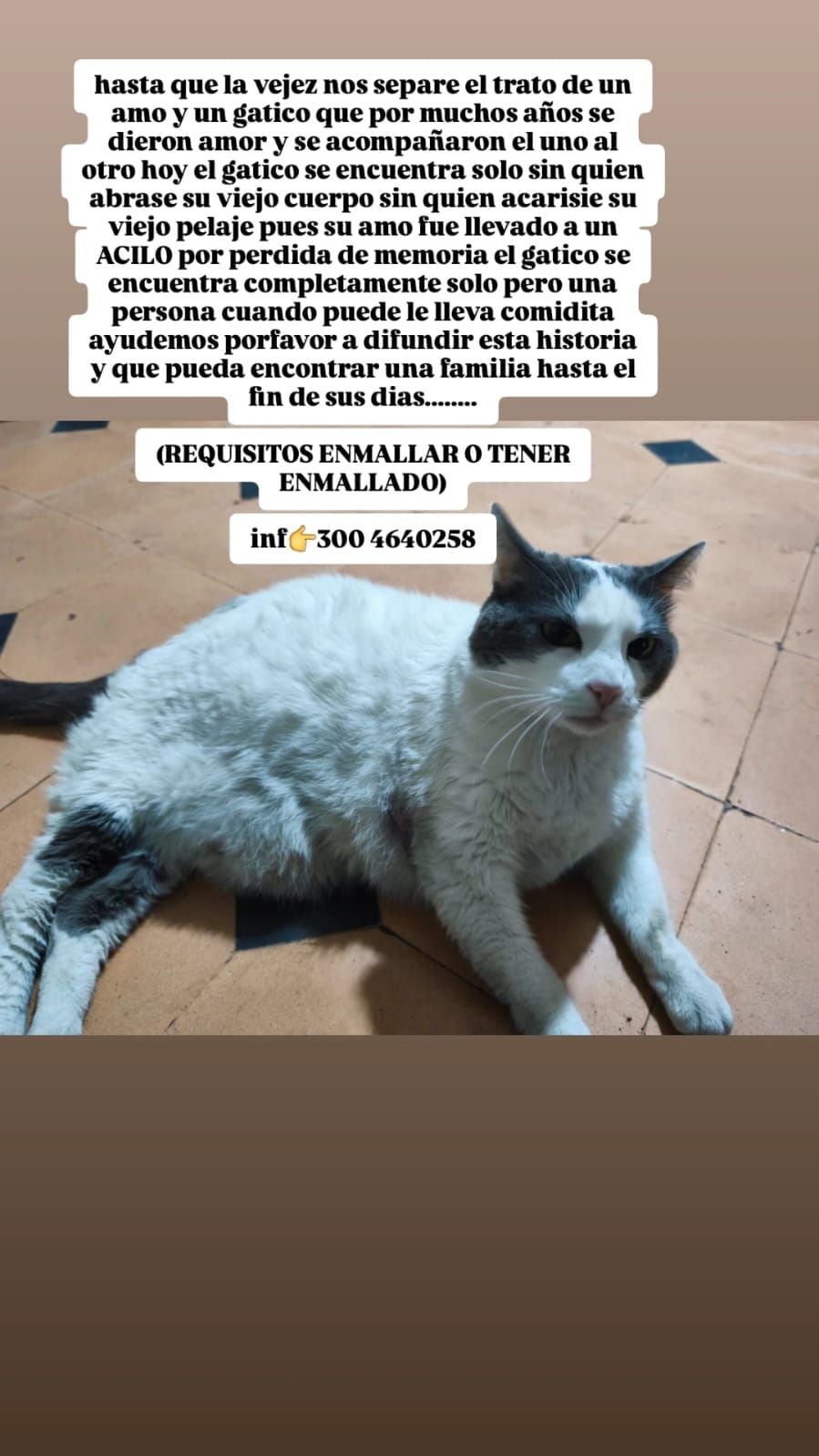 El llamado está dirigido a personas dispuestas a acompañarlo en esta etapa de su vida.