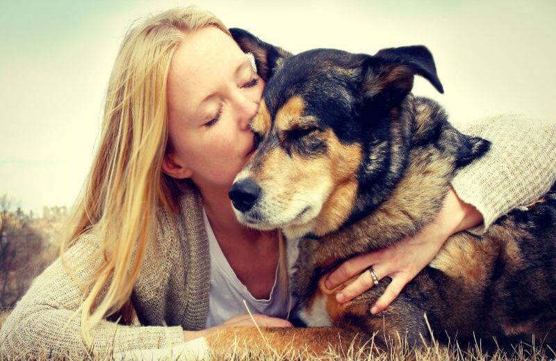 No son lo mismo: así puede diferenciar un perro de servicio de uno de apoyo emocional.