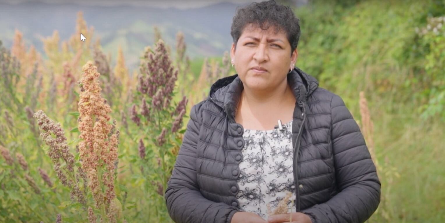 Los cultivos de quinua, crecen de la mano de un gigante de la industria alimentaria: Doria.