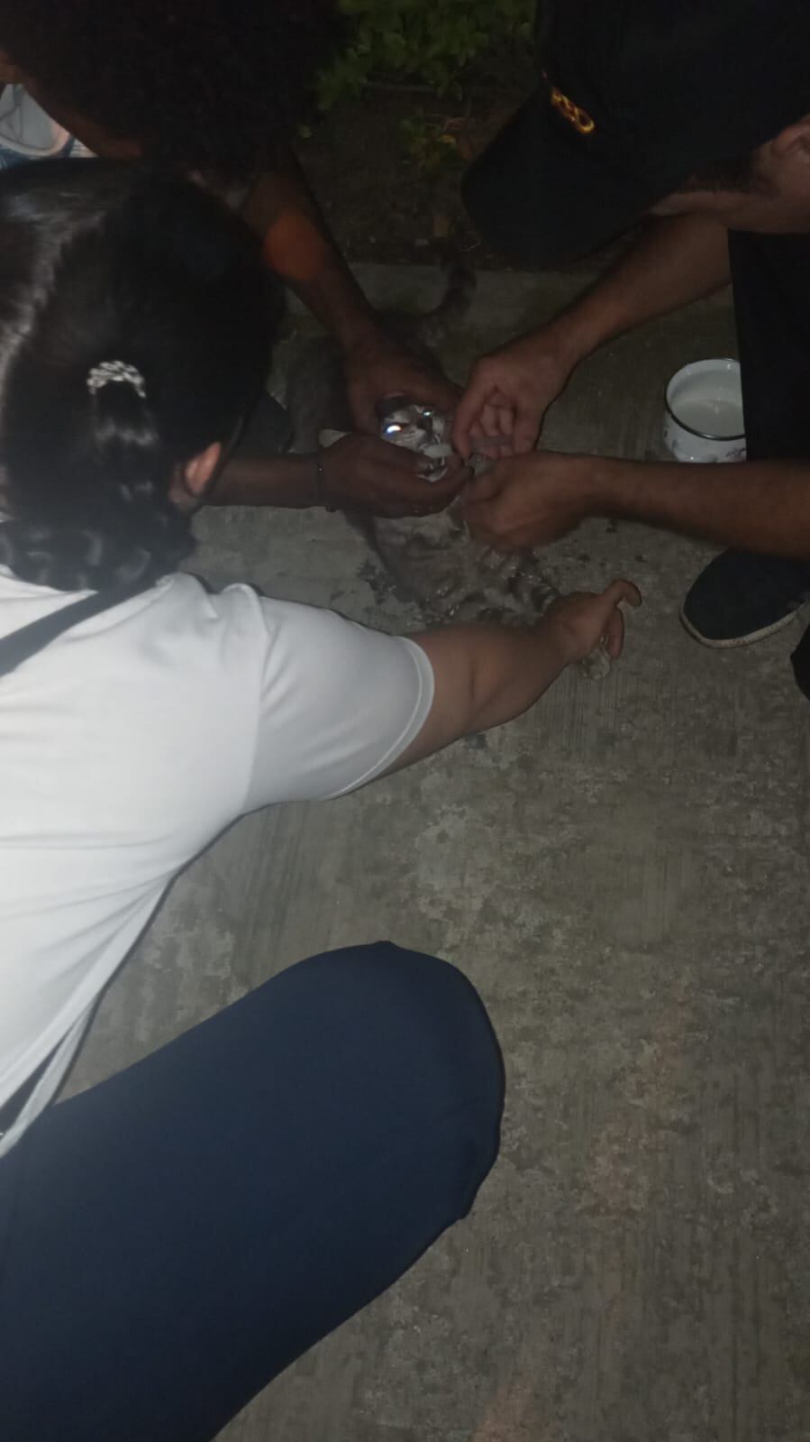 La comunidad los trató de auxiliar.