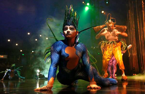 Foto: Guillermo Torres Reina