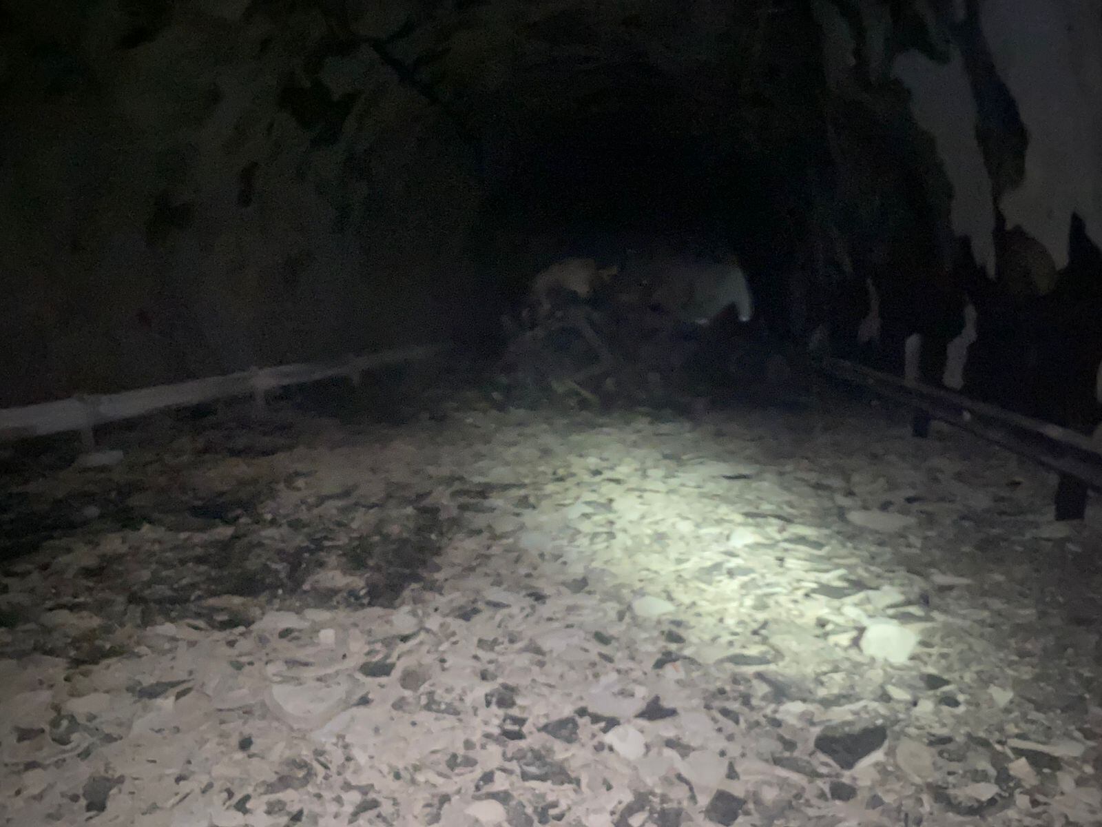 Las autoridades iniciaron un plan de contingencia.