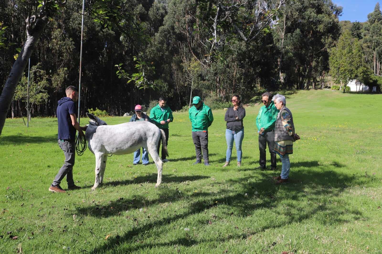 Kaliope tendrá ahora un nuevo hogar