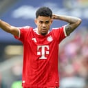 MUNICH, GERMANY - MAY 16: Luis Diaz of Bayern Muenchen reacts during the Bundesliga match between FC Bayern München and 1. FC Köln at Allianz Arena on May 16, 2026 in Munich, Germany. (Photo by Stefan Matzke - sampics/Getty Images)