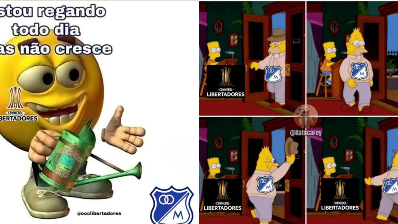 En redes sociales disfrutaron con la eliminación de Millonarios de Copa Libertadores.