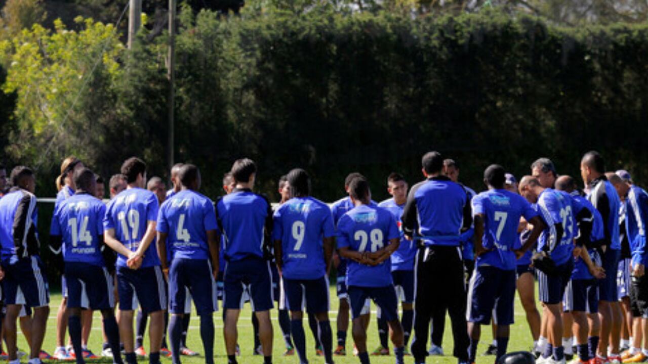 Plantel de Millonarios en 2012.