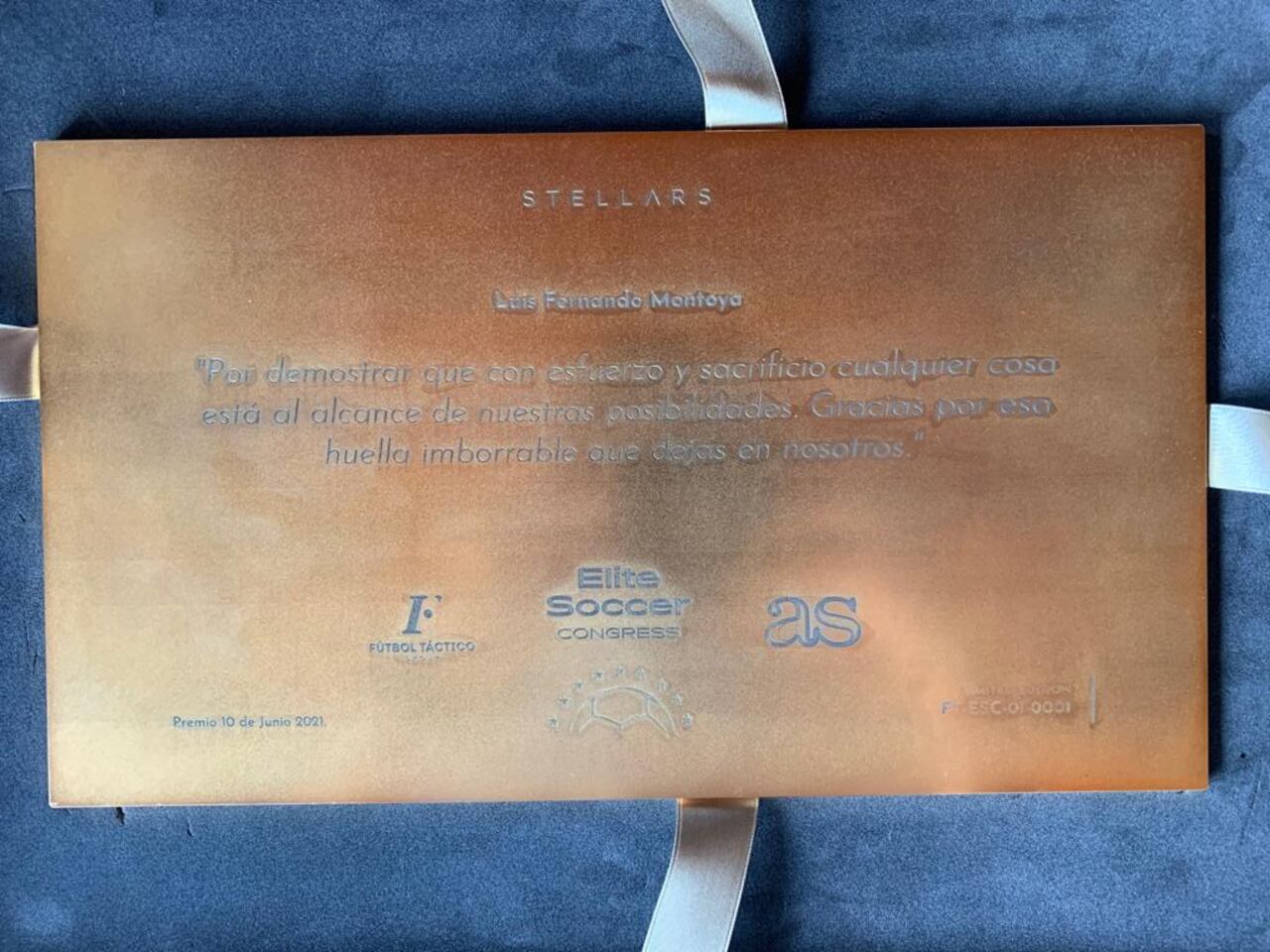 Premio Luis Fernando Montoya