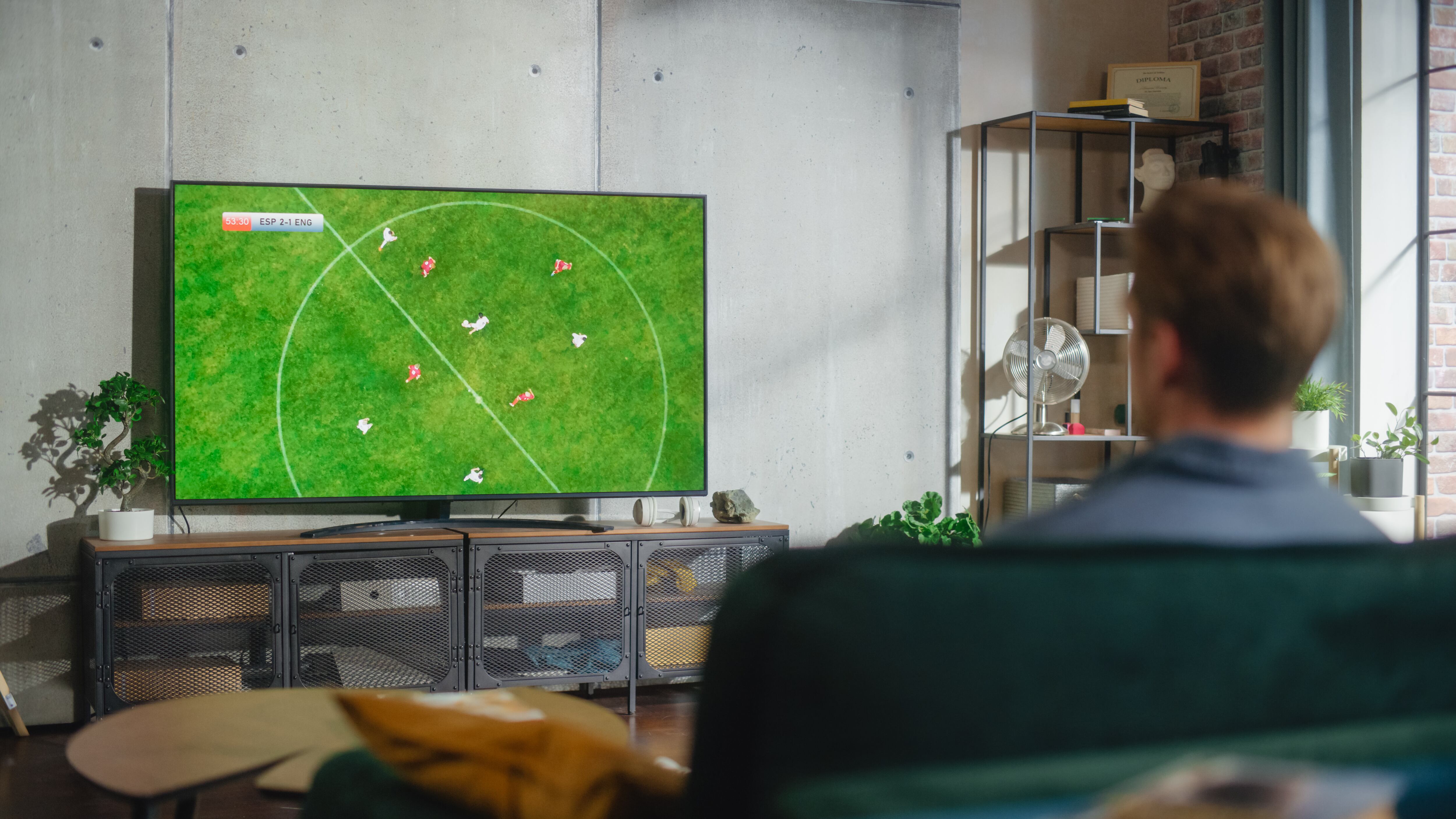 Las características del televisor dependen de los gustos personales de cada individuo.