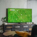 Las características del televisor dependen de los gustos personales de cada individuo.