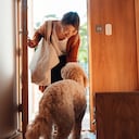 persona despidiéndose de su perro.
