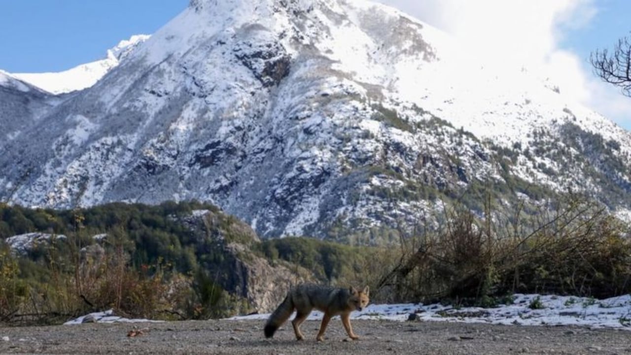 La tumba de Wilamaya Patjxa individuo 6 se descubrió en el antiplano andino.