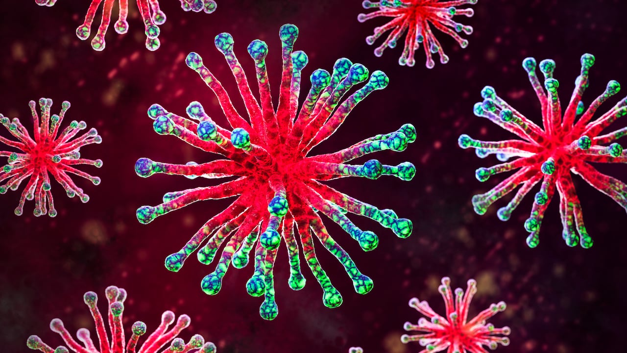 Cambios en el estilo de vida, actividad física y buena alimentación fortalecen el sistema inmune.