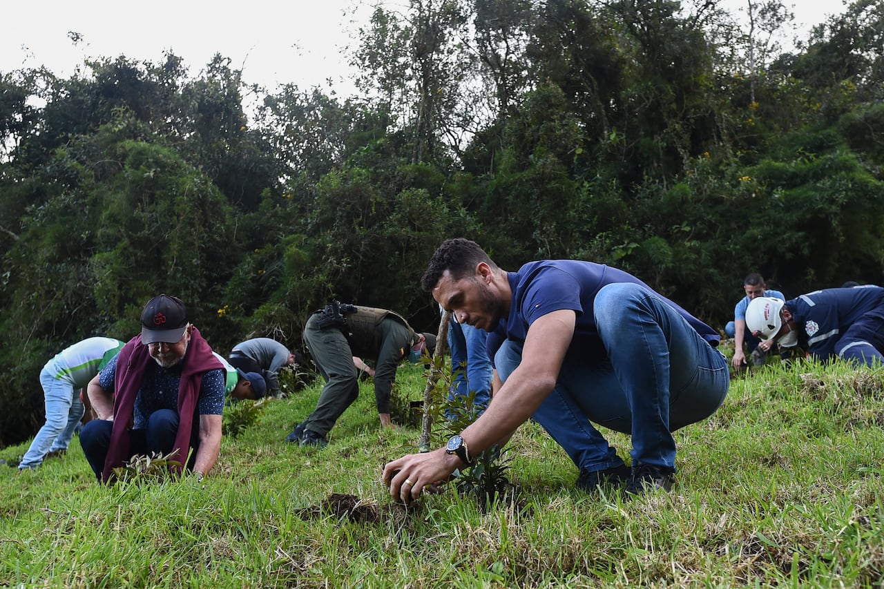 Former Brazilian football player Helio Neto (R) -a survivor of the Lamia flight 2933 plane crash that wiped out Brazilian football club Chapecoense- plants a tree in tribute to the victims of the accidente at the Chapeco hill, on the fifth anniversary of the accident, near La Union, in Antioquia Department, Colombia, on December 1, 2021. - The plane was flying Chapecoense to Medellin to take on Atletico Nacional in the Copa Sudamericana finals -- the biggest and most unexpected game in the Brazilian team's history. When the plane ran out of fuel and went down in inhospitable mountains near its destination, 71 of the 77 aboard died, including 19 players. (Photo by JOAQUIN SARMIENTO / AFP)
