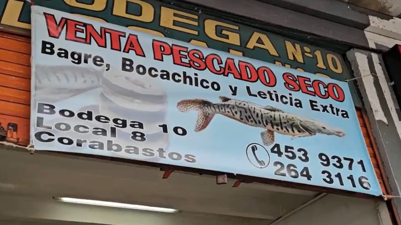 "Vamos a comer pescado sabroso en Semana Santa, a recuperar las tradiciones y la cultura, a diversificar nuestro paladar y nuestra mesa, y a compartir estos momentos en familia, dándoles también la oportunidad a otras familias y consumiendo 47.000 toneladas de pescado que están frescas y disponibles para su consumo”, aseguró.