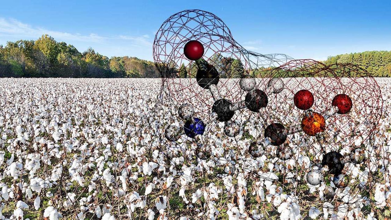 Fotomontaje: Semana Sostenible (Fotos: 123rf)