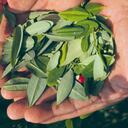 El informe también entrega datos proporcionados por la Oficina de las Naciones Unidas.