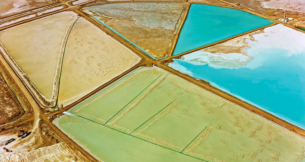 La gallina de los huevos de oro (blanco)_2