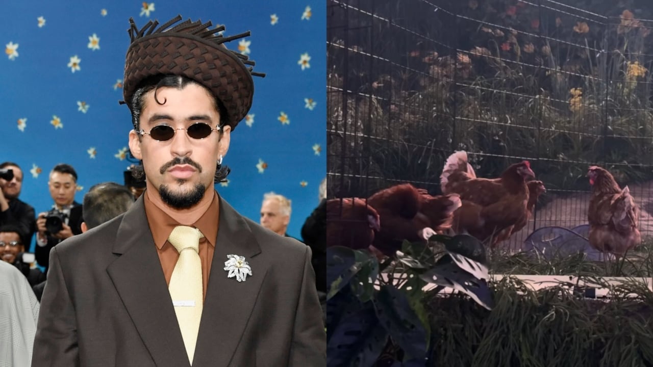Acusan a Bad Bunny de maltrato animal en sus concierto en Puerto RIco