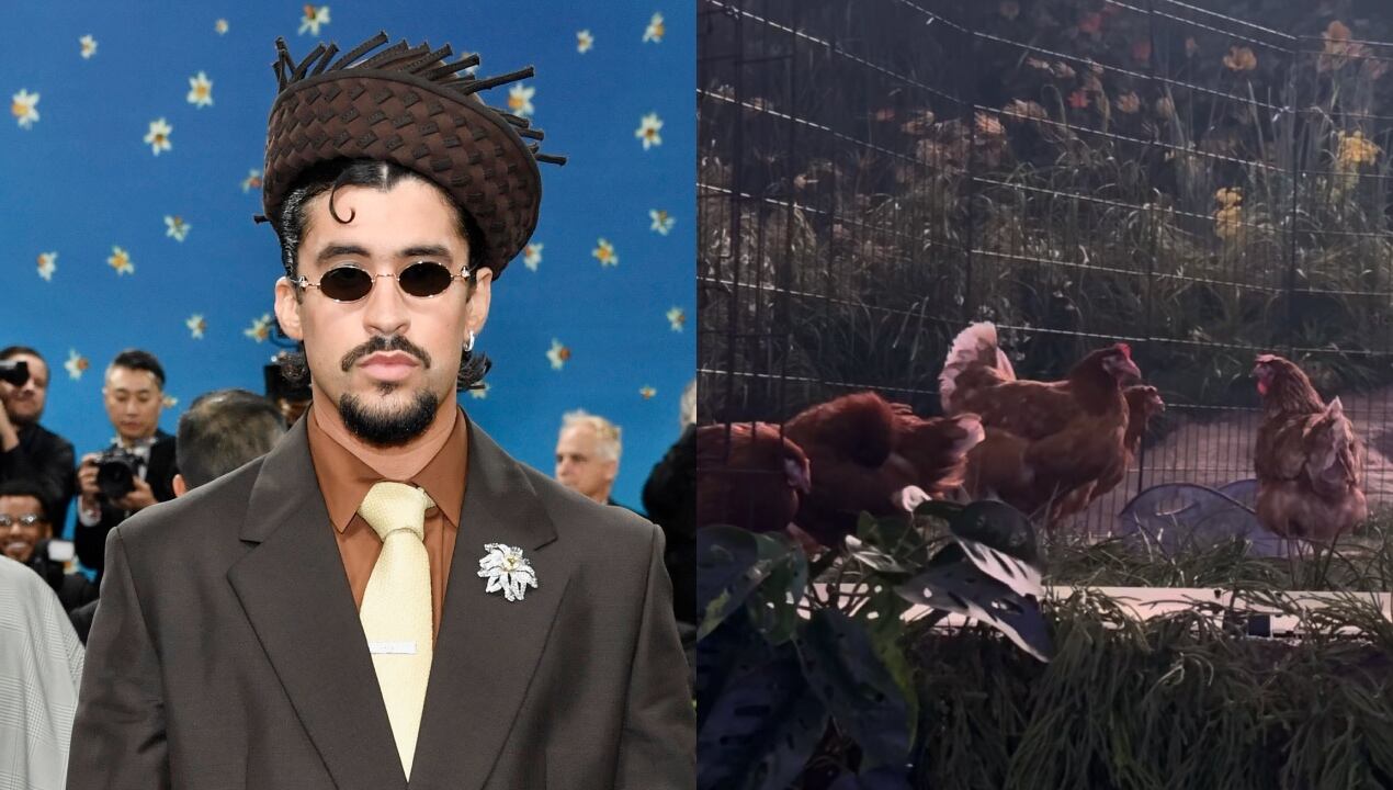 Acusan a Bad Bunny de maltrato animal en sus concierto en Puerto RIco