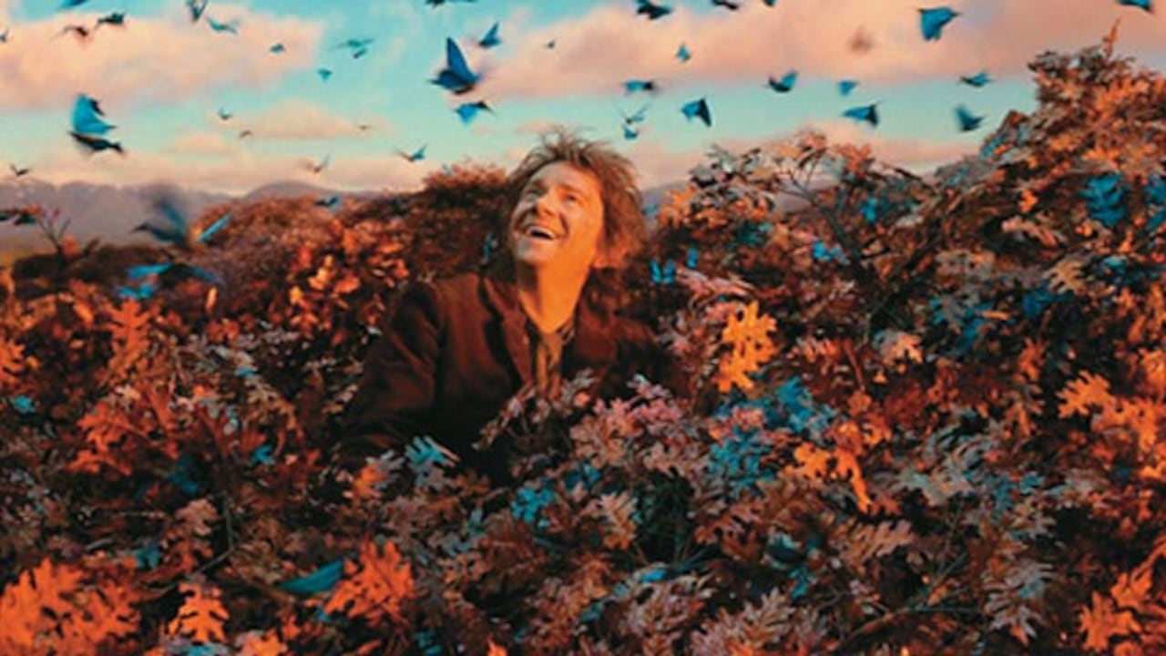 Como ocurre en todas las cintas de Peter Jackson basadas en las novelas de Tolkien, los escenarios son espectaculares.