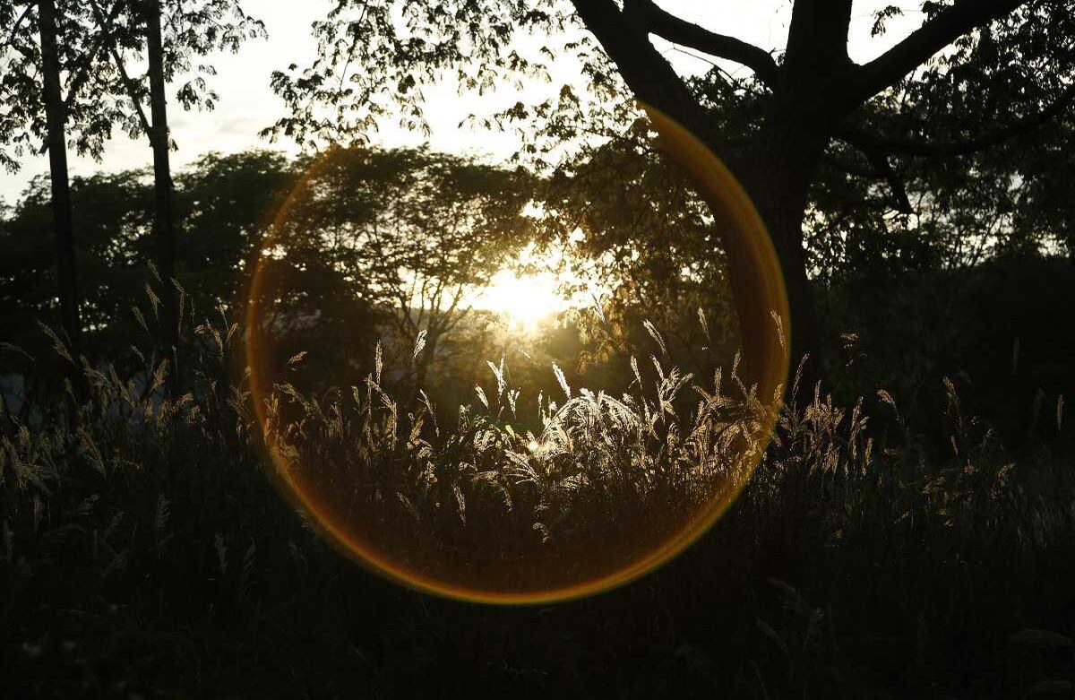 Armero era considerada la Ciudad Blanca por sus cultivos de algodón; en el pueblo también sobresalían próspera haciendas con sembrados de sorgo, arroz y ajonjolí.
