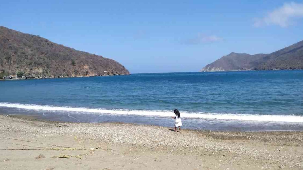 El parque Tayrona es uno de los ecosistemas que no estará abierto al público. Foto: PNN