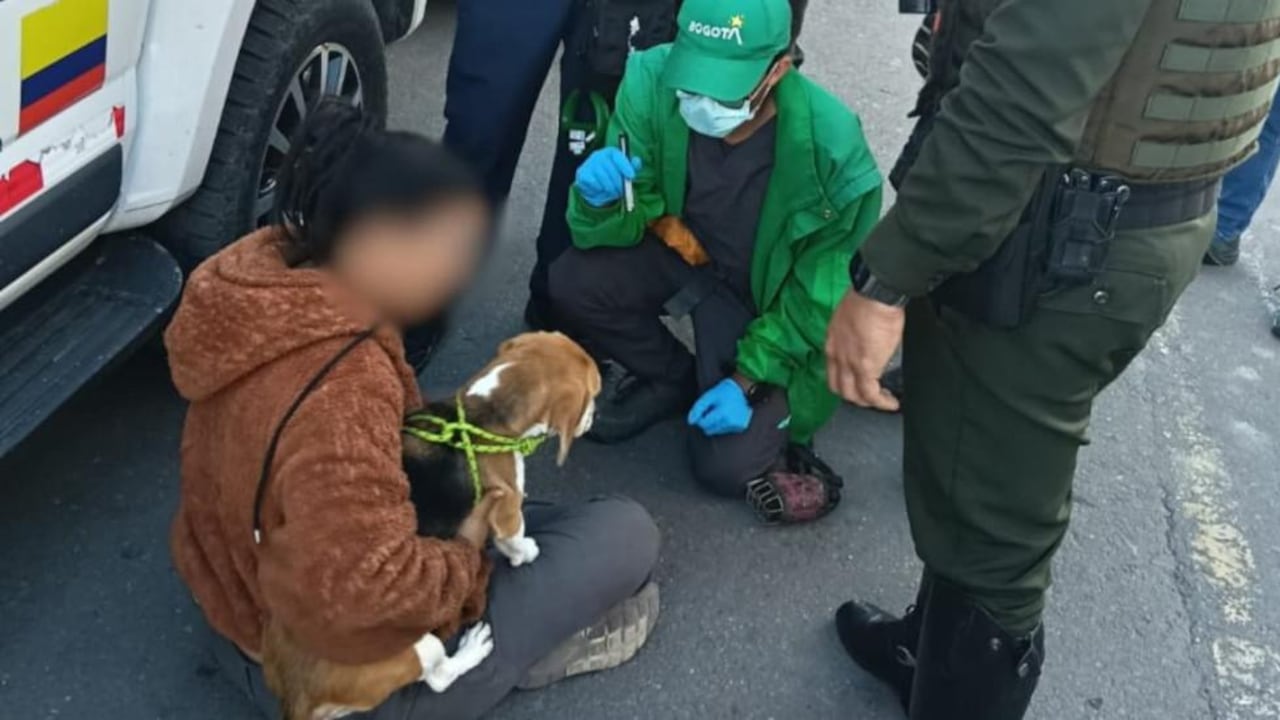 Imagen del rescate de Kira.
