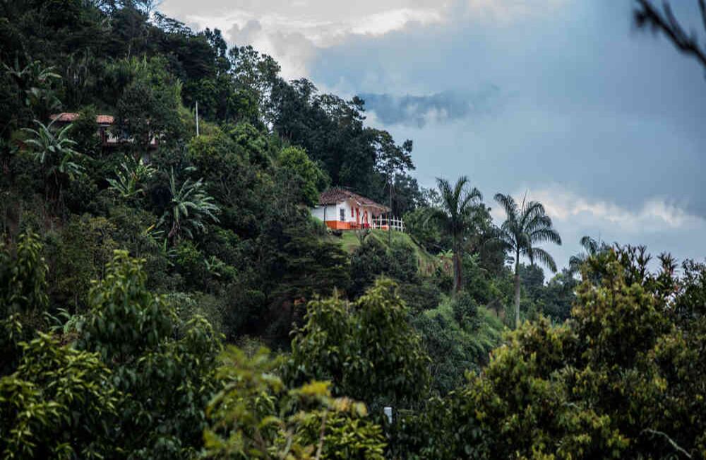 Actualmente la Subsecretaría de Medio Ambiente de Girardota trabaja por reforestar el municipio, más de 61,000 árboles se han sembrado para recuperar la calidad del aire.