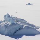Esta imagen muestra un oso polar de pie sobre un iceberg cubierto de nieve que está rodeado de hielo fijo, o hielo marino conectado a la costa, en el sureste de Groenlandia en marzo de 2016 (Foto de Kristin Laidre / AFP).