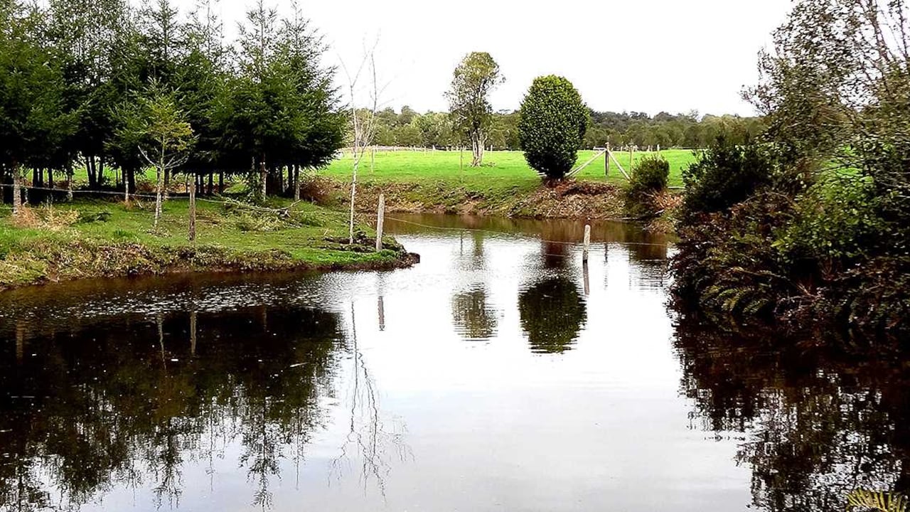 Foto: Rodolfo Ditzel Lacoa / Wikimedia Commons