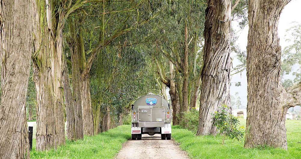 Con sus diferentes estrategias de sostenibilidad Alpina impacta de manera positiva a todos los actores de la cadena.