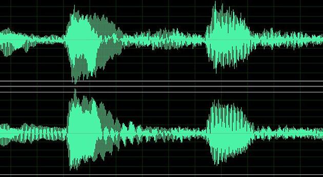 En los audios notifican que hay cuerpos tirados en el piso.