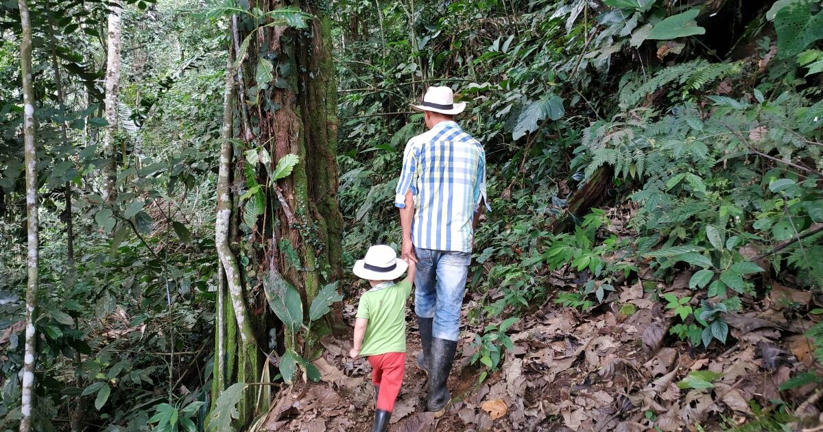 La Escuela de Selva llegará a los 13 municipios más deforestados del país.